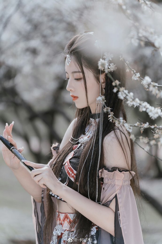 长月烬明 封面